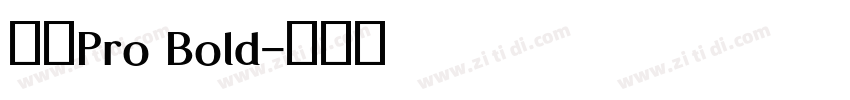 日产Pro Bold字体转换